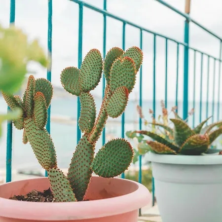 Apartment Beachfront Himare