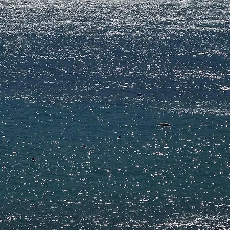 Beachfront Apartment Himare