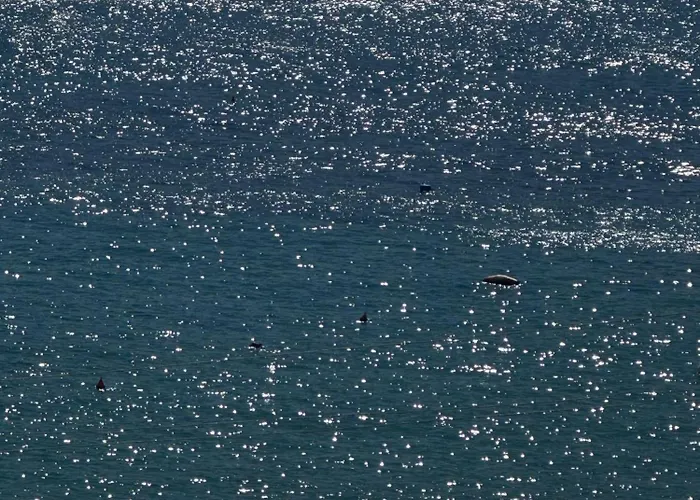 Beachfront Daire Himarë