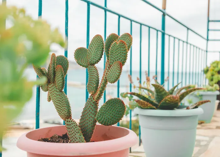 公寓 Beachfront 希马拉